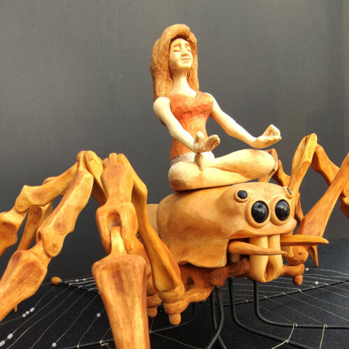 Meditation Spider