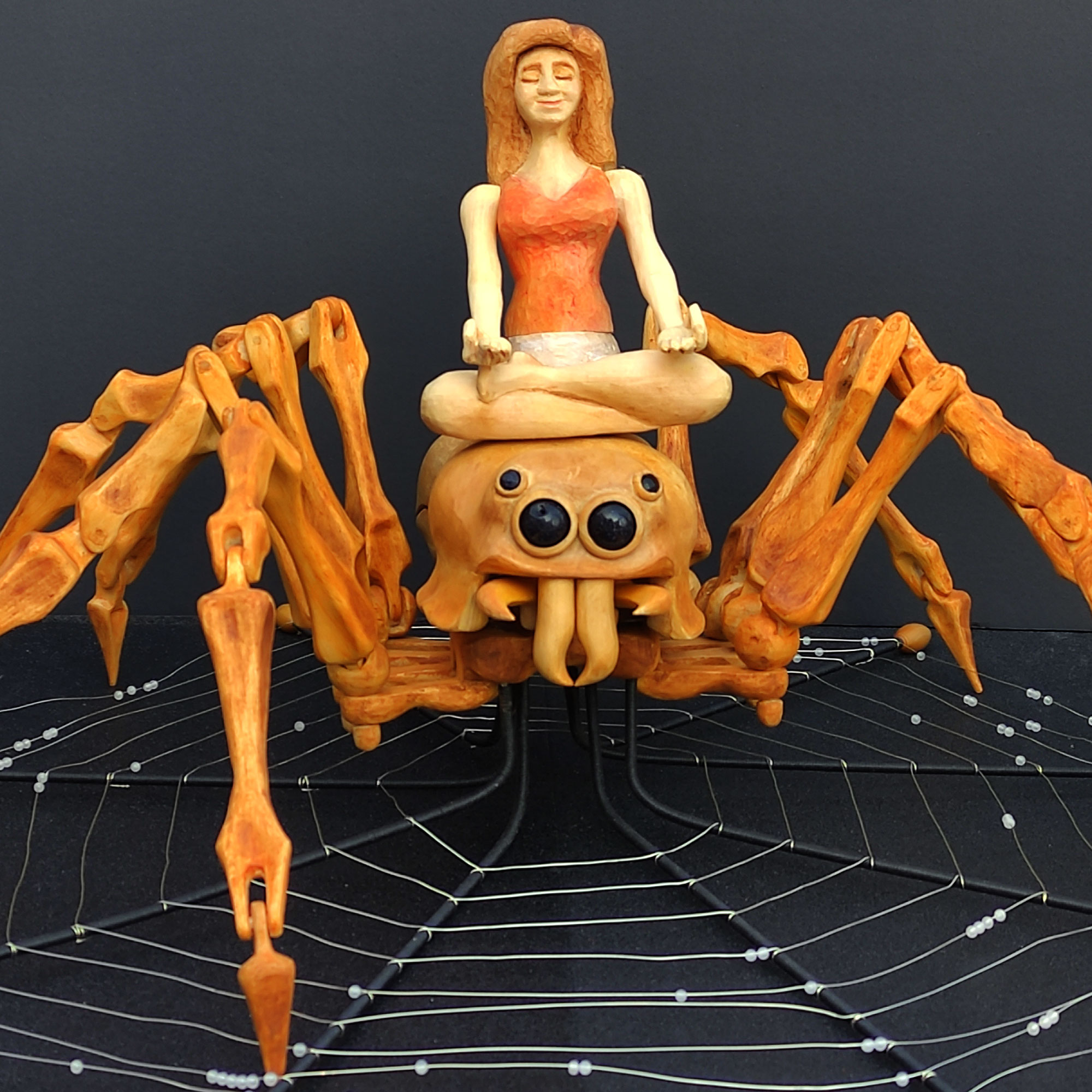 Spider Meditation